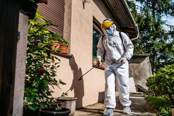 Best Spider Control Near Me  in St Georges, DE