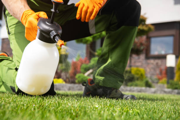 Best Flea Control Services  in St Georges, DE