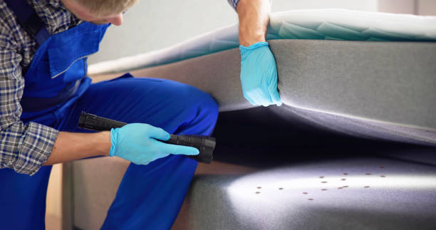 Best Pest Inspection Near Me  in St Georges, DE